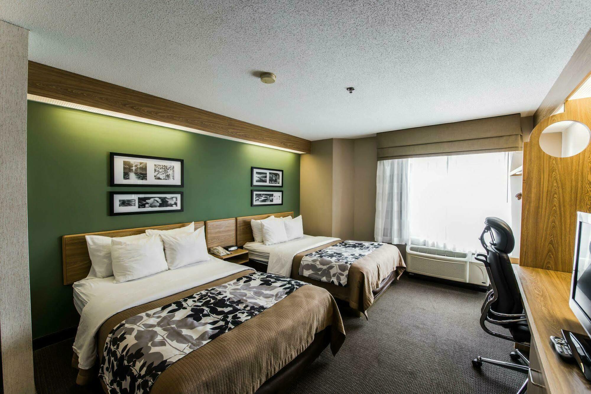 Sleep Inn & Suites Johnson City Zewnętrze zdjęcie